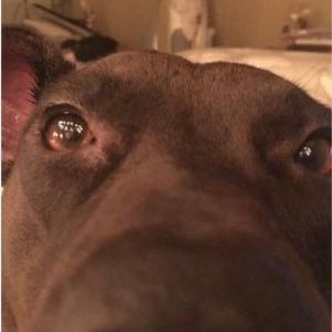 Meet your Posher, Angelina